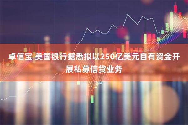 卓信宝 美国银行据悉拟以250亿美元自有资金开展私募信贷业务