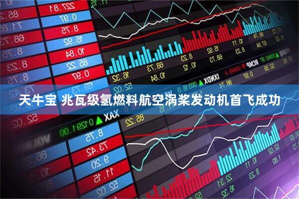 天牛宝 兆瓦级氢燃料航空涡桨发动机首飞成功