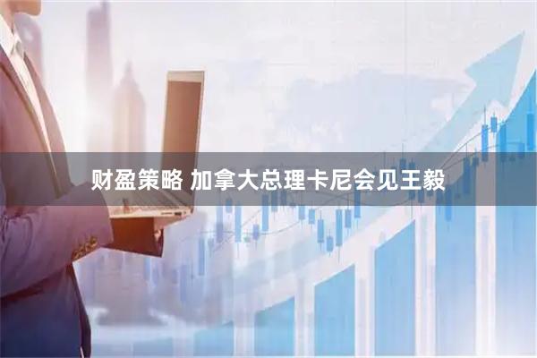 财盈策略 加拿大总理卡尼会见王毅