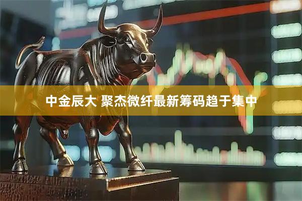 中金辰大 聚杰微纤最新筹码趋于集中