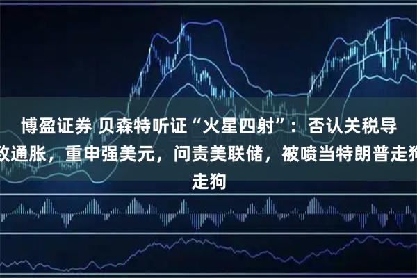 博盈证券 贝森特听证“火星四射”:否认关税导致通胀,重申强美元,问责美联储,被喷当特朗普走狗