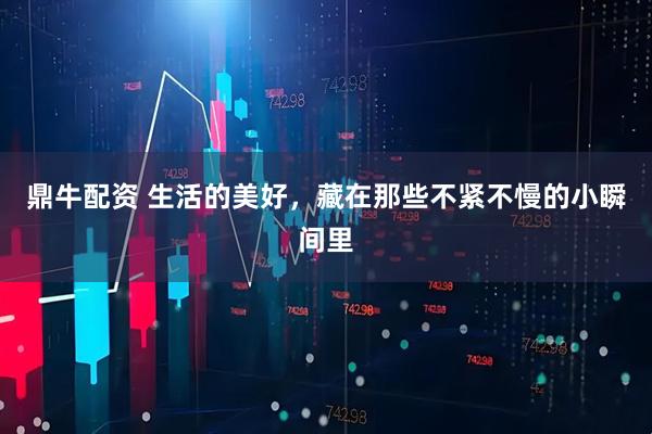 鼎牛配资 生活的美好，藏在那些不紧不慢的小瞬间里