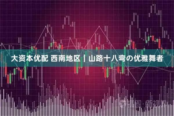 大资本优配 西南地区｜山路十八弯の优雅舞者