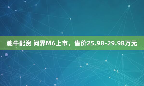 驰牛配资 问界M6上市，售价25.98-29.98万元