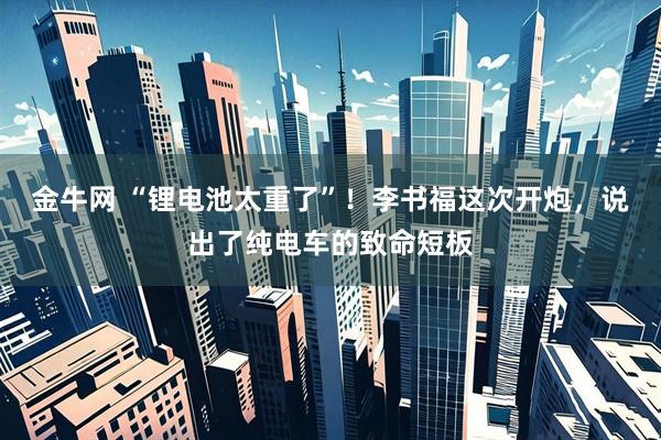 金牛网 “锂电池太重了”！李书福这次开炮，说出了纯电车的致命短板