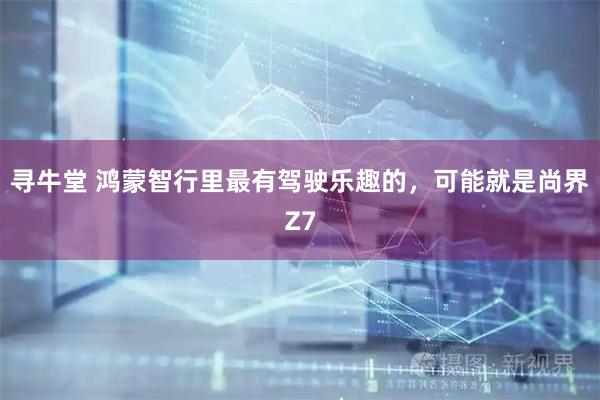 寻牛堂 鸿蒙智行里最有驾驶乐趣的，可能就是尚界Z7