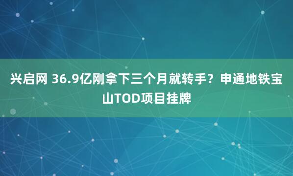 兴启网 36.9亿刚拿下三个月就转手?申通地铁宝山TOD项目挂牌