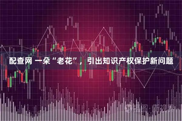配查网 一朵“老花”，引出知识产权保护新问题
