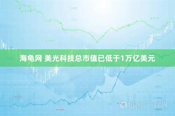 海龟网 美光科技总市值已低于1万亿美元