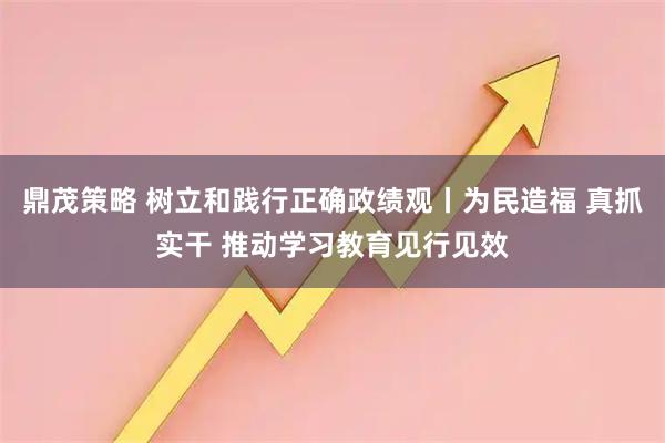 鼎茂策略 树立和践行正确政绩观丨为民造福 真抓实干 推动学习教育见行见效