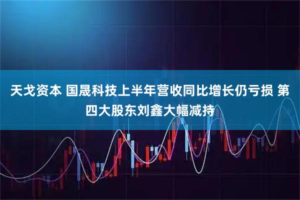 天戈资本 国晟科技上半年营收同比增长仍亏损 第四大股东刘鑫大幅减持
