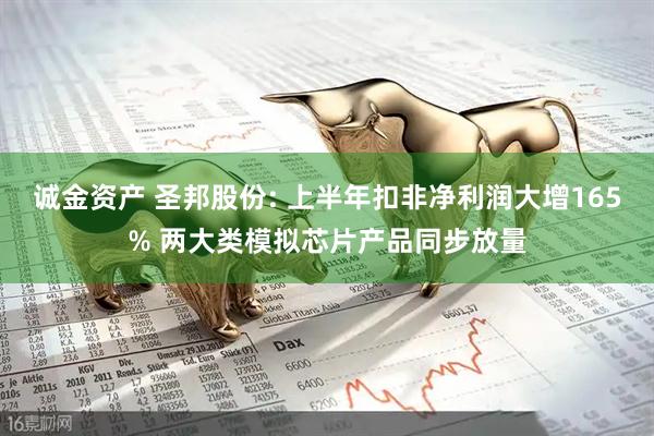 诚金资产 圣邦股份: 上半年扣非净利润大增165% 两大类模拟芯片产品同步放量