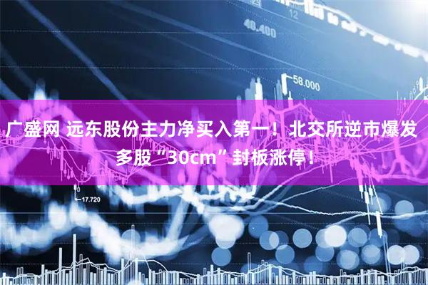 广盛网 远东股份主力净买入第一！北交所逆市爆发 多股“30cm”封板涨停！